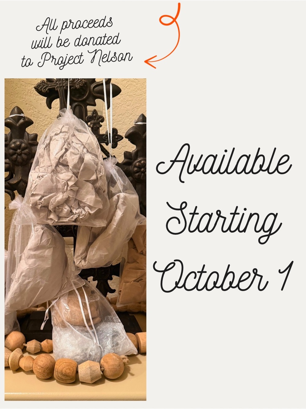 All October Benefit Shows - Project Nelson - Picture 14 of 15